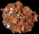 Aragonite Twinned Crystal Cluster - Morocco #49274-1